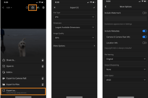 Advanced Export Options Now in Lightroom Mobile iOS (and Android)