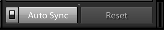 Lightroom Classic: Brighter Auto Sync Button