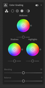 Cloud-Based Lightroom Color Grading Panel