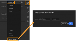 Lightroom Custom Crop Aspect Ratio