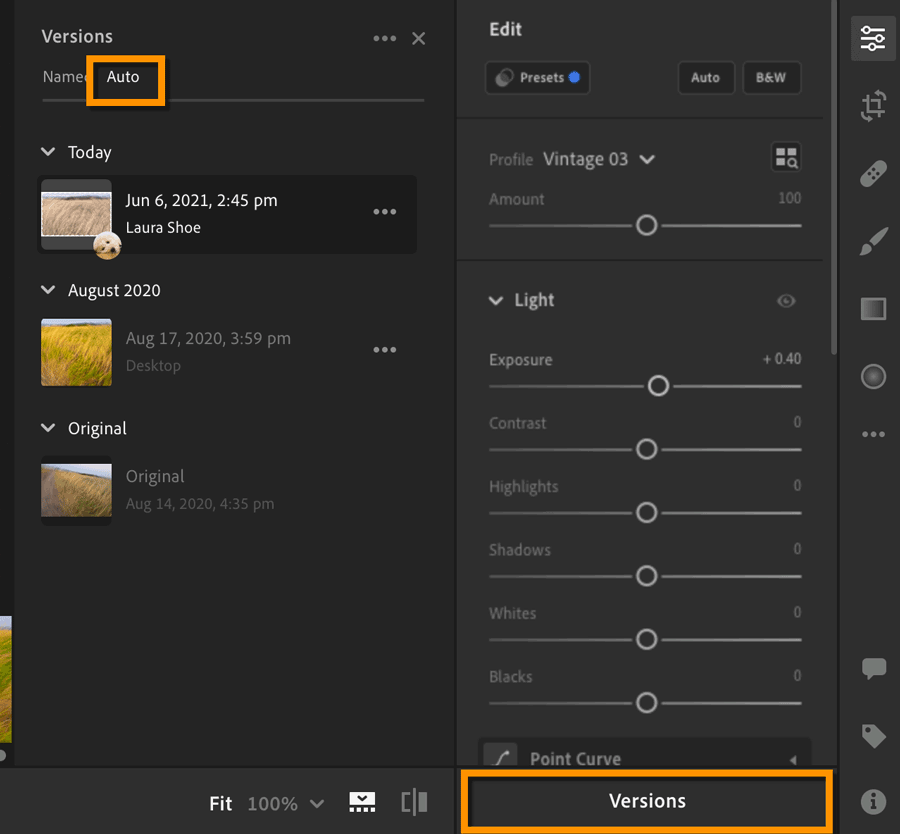 Lightroom Collaborative Editing: Versions